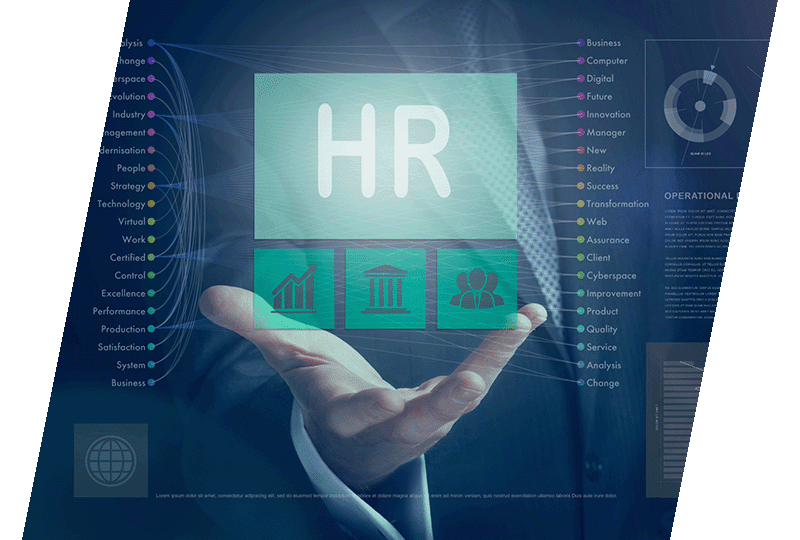 HR Survey