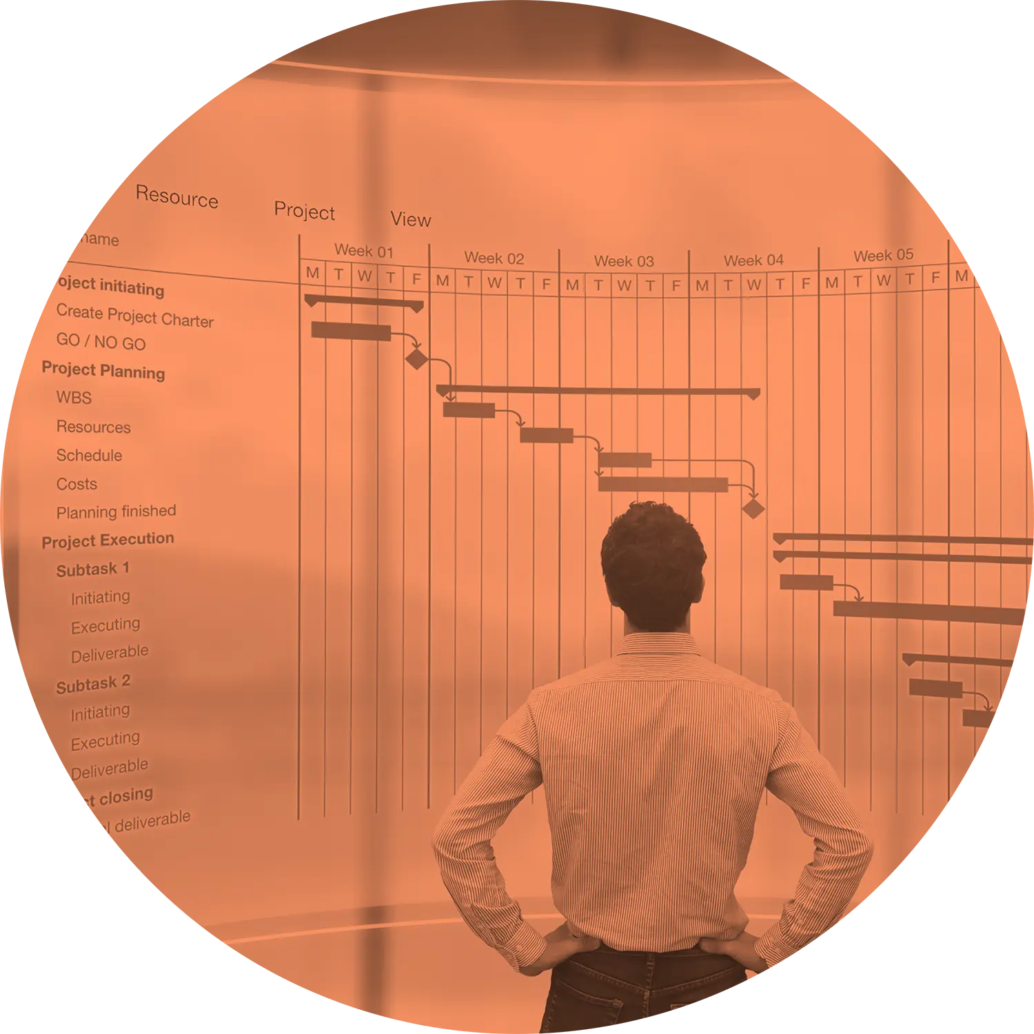 Team Member Reviewing Steps to Effectively Implement Project Management Techniques